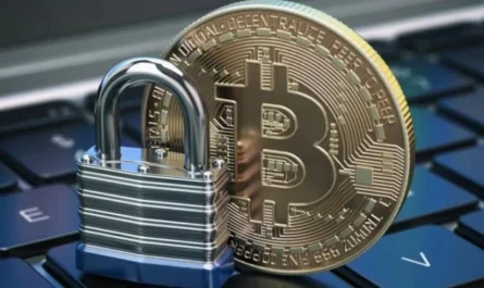 criptomonedas SEGURIDAD